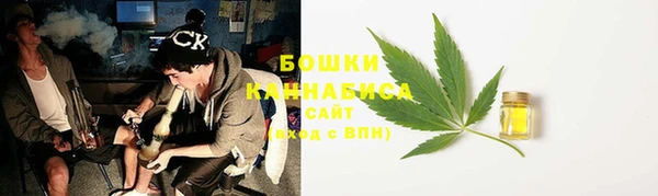 молекула духа Заводоуковск