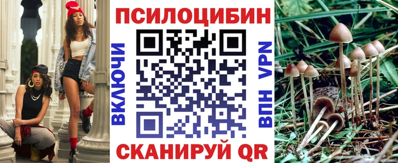Псилоцибиновые грибы Psilocybe  Купить где  Петровск 